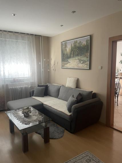 Ponúkame na predaj priestranný 1-izbový byt v Galante